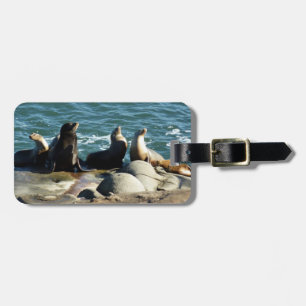 San Diego Sea Lions Luggage Tag
