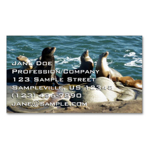 San Diego Sea Lions Magnetic Business Card