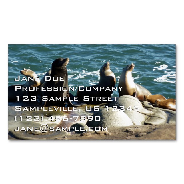 San Diego Sea Lions Magnetic Business Card (Front)