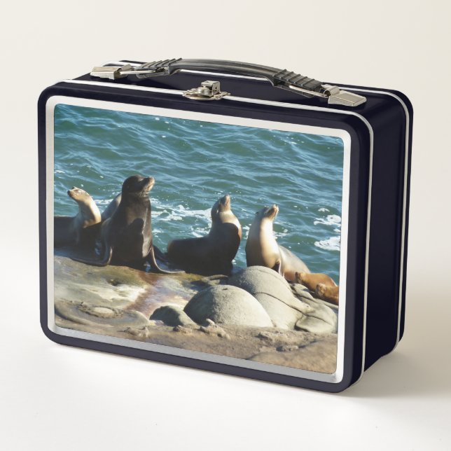 San Diego Sea Lions Metal Lunch Box (Front)