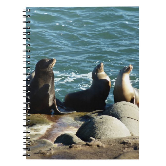 San Diego Sea Lions Notebook (Front)