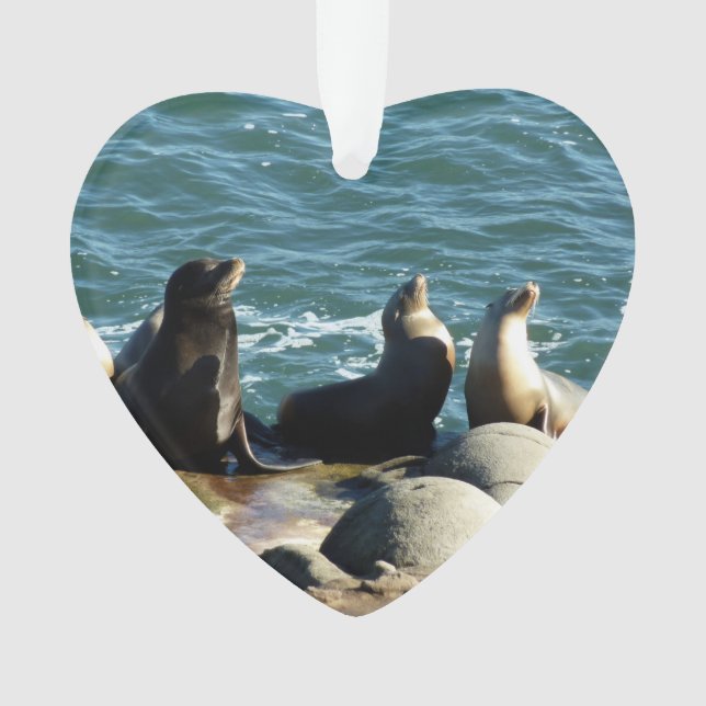 San Diego Sea Lions Ornament (Front)