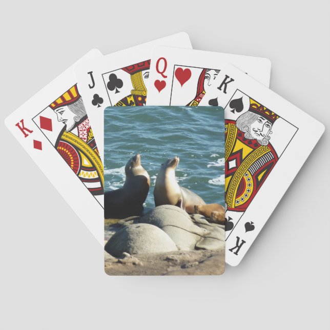 San Diego Sea Lions Playing Cards (Back)