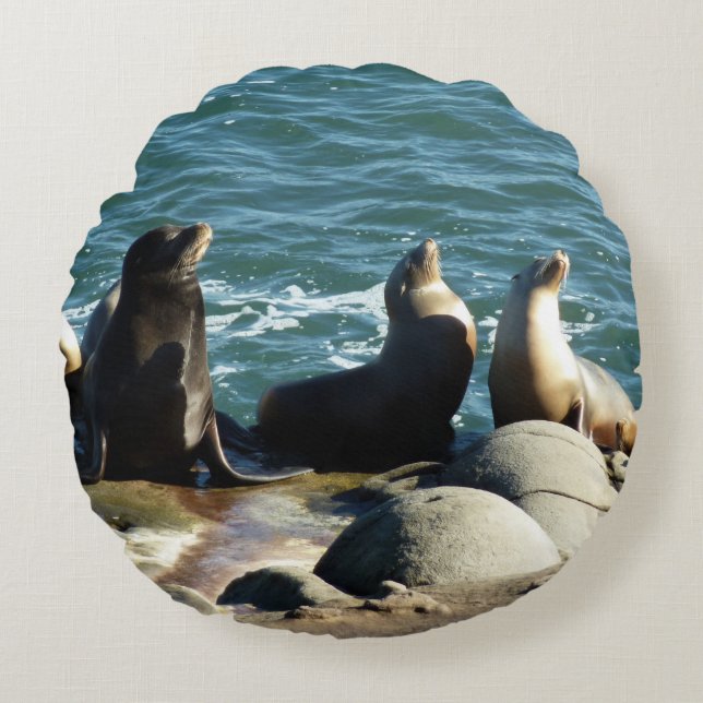 San Diego Sea Lions Round Cushion (Front)