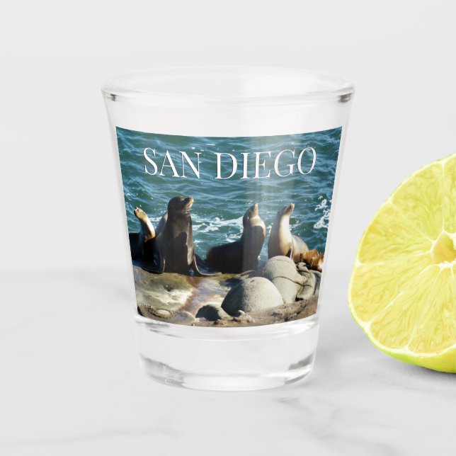 San Diego Sea Lions Shot Glass (Front)