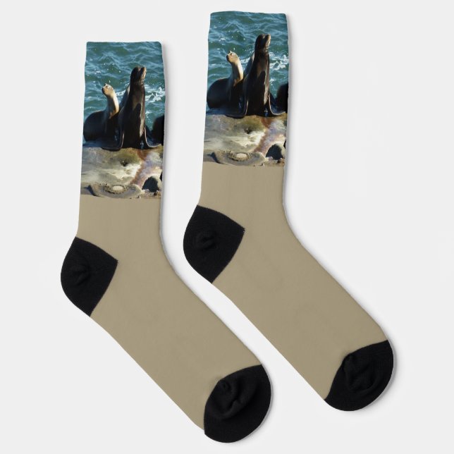 San Diego Sea Lions Socks (Right)
