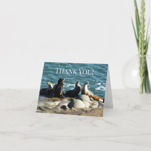 San Diego Sea Lions Thank You Card