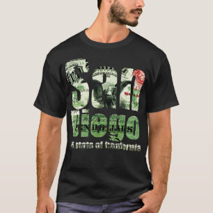 San Diego Us State of California T-Shirt