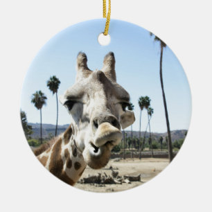 San Diego zoo Ceramic Tree Decoration