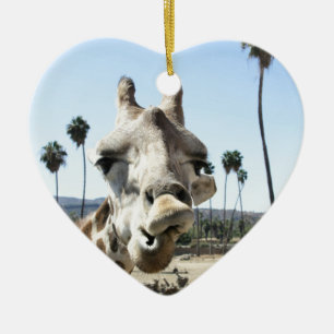 San Diego zoo Ceramic Tree Decoration