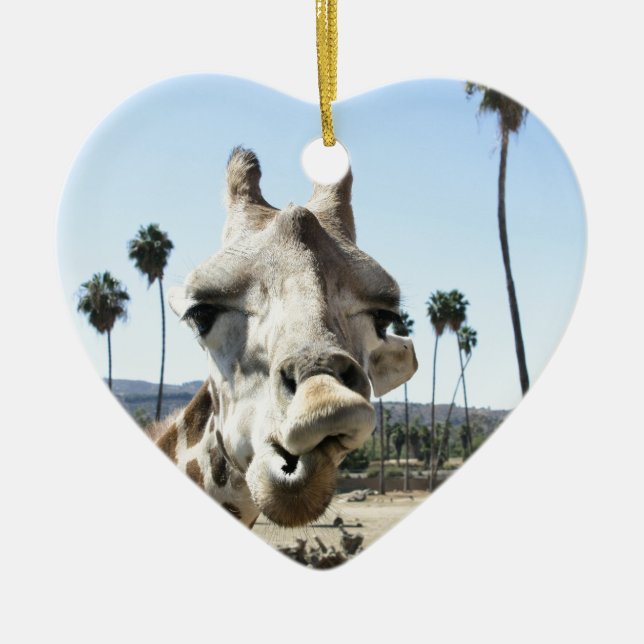 San Diego zoo Ceramic Tree Decoration (Front)