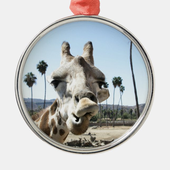 San Diego zoo Metal Tree Decoration (Front)