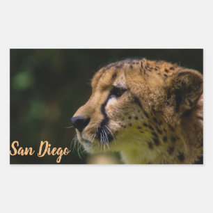 San Diego zoo Rectangular Sticker
