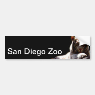 San Diego Zoo Tiger Bumper Sticker
