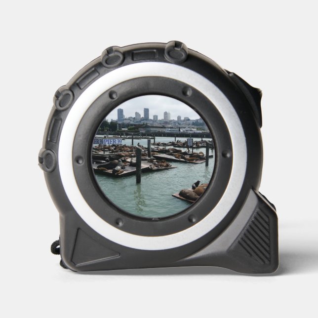 San Francisco and Pier 39 Sea Lions City Skyline 1 (Front)