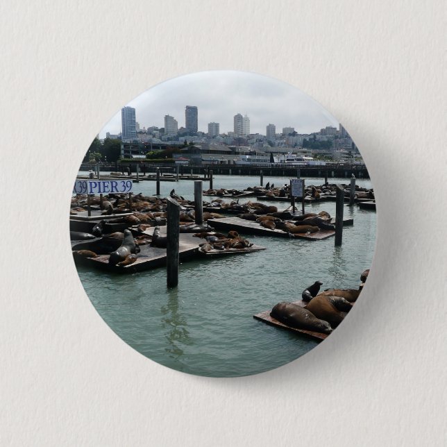 San Francisco and Pier 39 Sea Lions City Skyline 6 Cm Round Badge (Front)