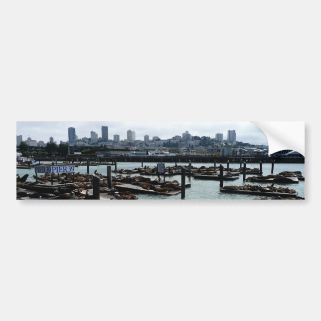San Francisco and Pier 39 Sea Lions City Skyline Bumper Sticker (Front)