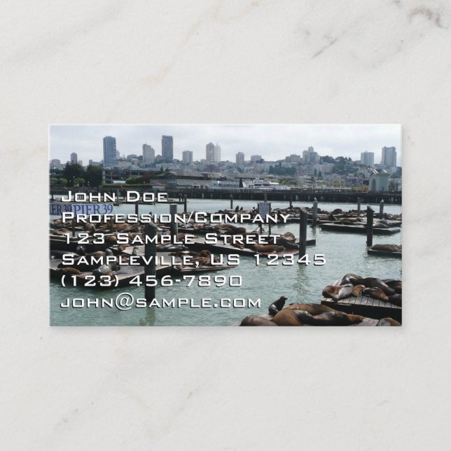 San Francisco and Pier 39 Sea Lions City Skyline Business Card (Front)
