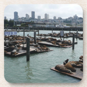 San Francisco and Pier 39 Sea Lions City Skyline Coaster