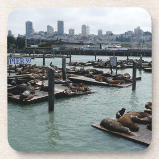 San Francisco and Pier 39 Sea Lions City Skyline Coaster