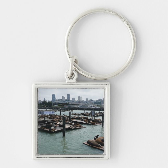 San Francisco and Pier 39 Sea Lions City Skyline Key Ring (Front)