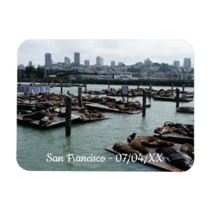 San Francisco and Pier 39 Sea Lions City Skyline M Magnet
