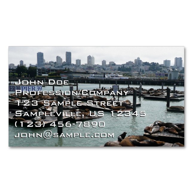 San Francisco and Pier 39 Sea Lions City Skyline Magnetic Business Card (Front)