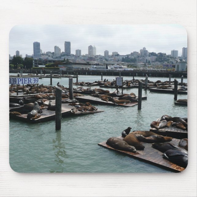 San Francisco and Pier 39 Sea Lions City Skyline Mouse Mat (Front)