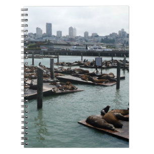 San Francisco and Pier 39 Sea Lions City Skyline Notebook