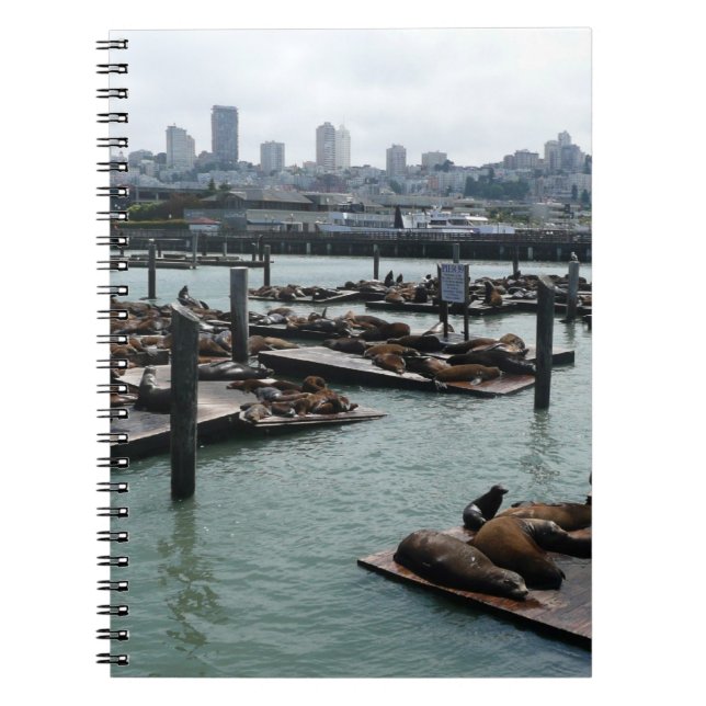 San Francisco and Pier 39 Sea Lions City Skyline Notebook (Front)