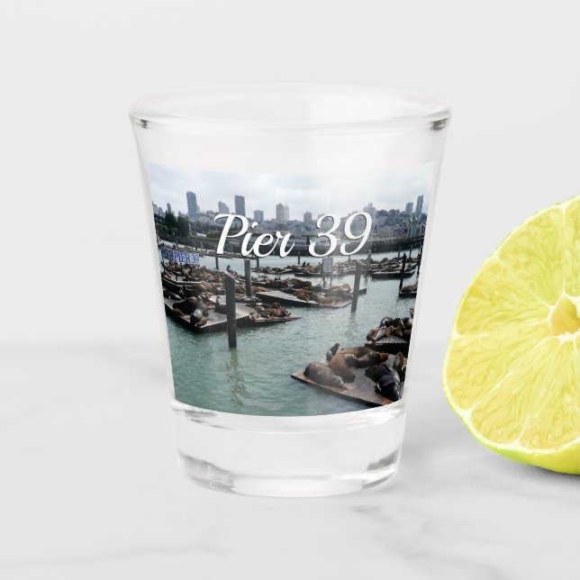 San Francisco and Pier 39 Sea Lions City Skyline Shot Glass (Front)