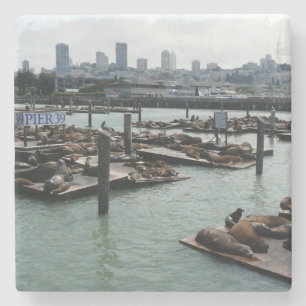 San Francisco and Pier 39 Sea Lions City Skyline Stone Coaster