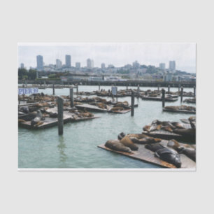 San Francisco and Pier 39 Sea Lions City Skyline Tissue Paper