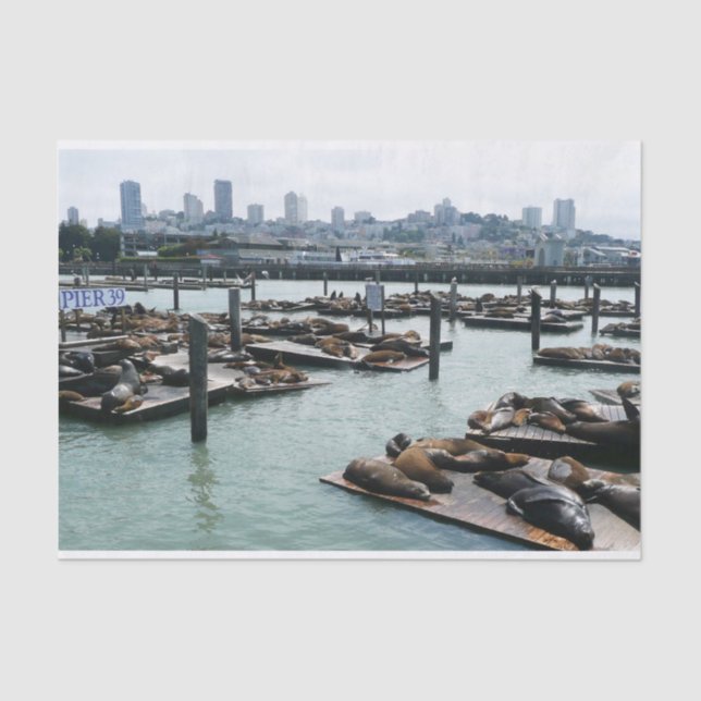 San Francisco and Pier 39 Sea Lions City Skyline Tissue Paper (Front)