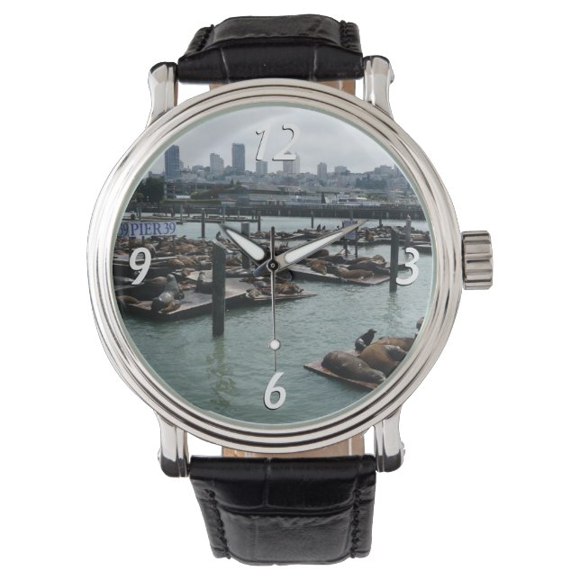 San Francisco and Pier 39 Sea Lions City Skyline Watch (Front)