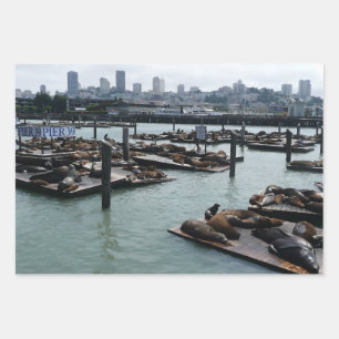 San Francisco and Pier 39 Sea Lions City Skyline Wrapping Paper Sheet