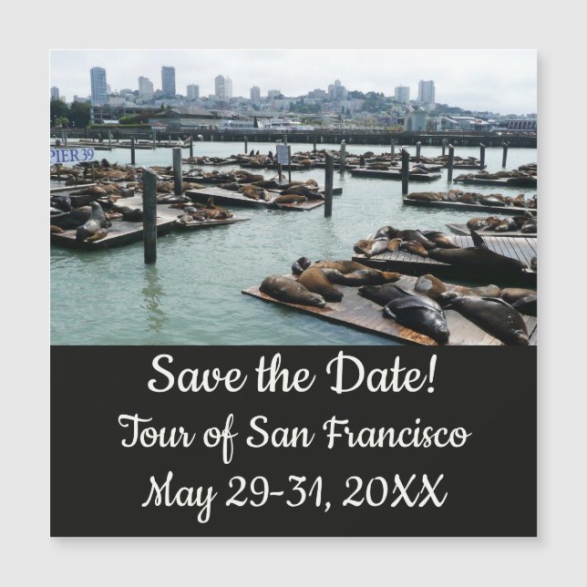 San Francisco and Pier 39 Sea Lions Save the Date (Front)