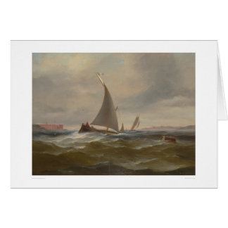 San Francisco Bay Felluca (1314)
