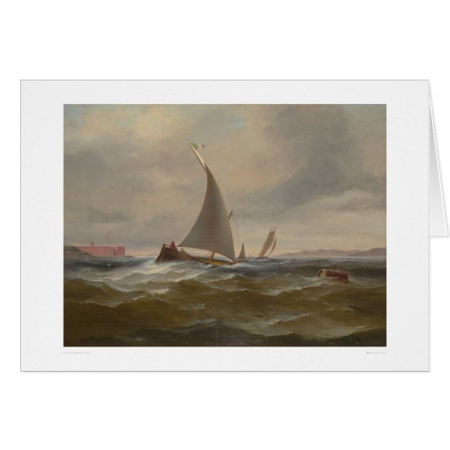 San Francisco Bay Felluca (1314) (Front Horizontal)