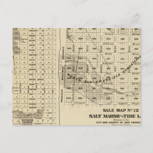 San Francisco Bay Salt Marsh 2 Postcard