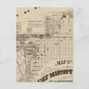 San Francisco Bay Salt Marsh Postcard