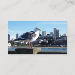 san francisco birds view business card