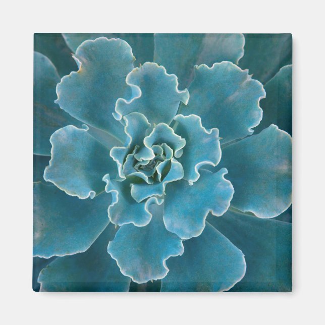 San Francisco Californias Golden Gate Park and Magnet (Front)