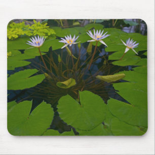 San Francisco Californias Golden Gate Park and Mouse Mat