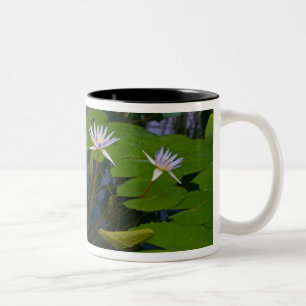 San Francisco Californias Golden Gate Park and Two-Tone Coffee Mug