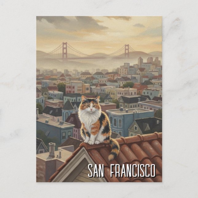 San Francisco Cat on rooftop Postcard (Front)