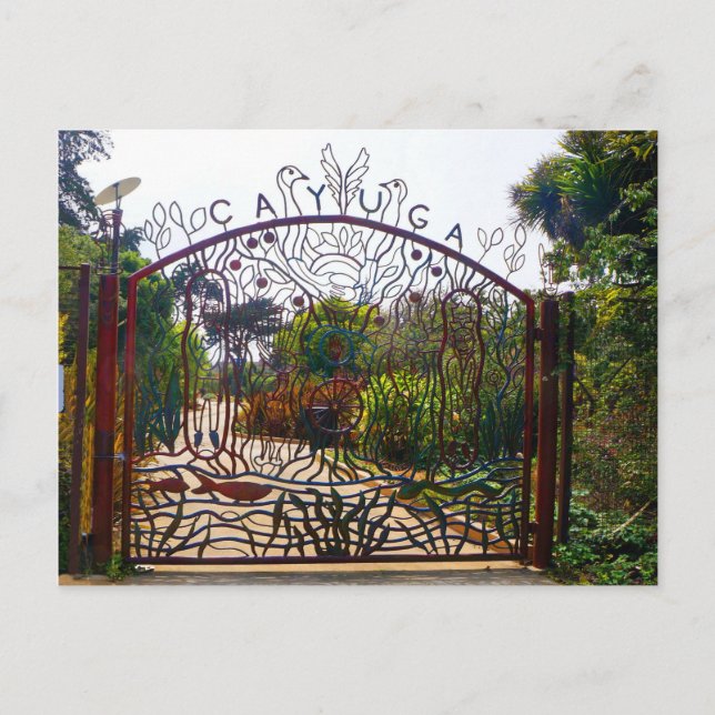 San Francisco Cayuga Park Postcard (Front)
