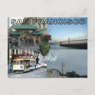 San Francisco collage Postcard