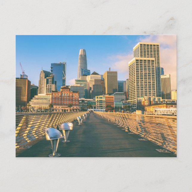 San Francisco Downtown Skyline  Postcard (Front)