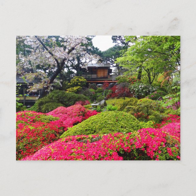 San Francisco Japanese Tea Garden #12 Postcard (Front)
